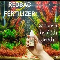 ราคา PSBจุลินทรีย์บำรุงไม้น้ำสัตว์น้ำREDBAC FERTILIZERสำหรับตู้ปลาตู้ไม้น้ำ (41818195539)