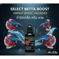 ราคา SELECT BETTA BOOSTบำรุงเกล็ดสวย สูตรเข้มข้นพิเศษ ครีบหางเพิ่มสีสันปลากกัดปลาสวยงามตู้ปลา (53250402754)