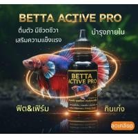 ราคา BETTA ACTIVE PRO เพิ่มความฟิต ตื่นตัวกินเก่งฟื้นฟูปลากัดปลาสวยงาม (47050813462)
