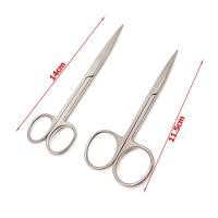 ราคา กรรไกรผ่าตัดทันตกรรมคีมตรงเครื่องมือทางการแพทย์สแตนเลสทันตกรรมเครื่องมือผ่าตัด (43351695006)