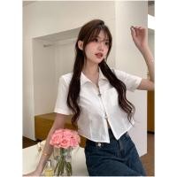 ราคา เสื้อโปโลแขนสั้น แต่งซิปคู่ เข้ารูป สีพื้น แฟชั่นฤดูร้อน สําหรับผู้หญิง (21476844554)