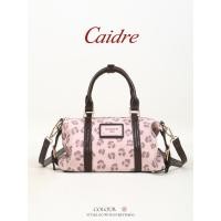 ราคา กระเป๋าสะพายข้างบอสตัน พิมพ์ลายเสือดาว สำหรับวันหยุดหรือโอกาสพิเศษ (41975490449)