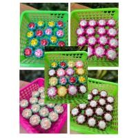 ราคา พร้อมส่ง เหรียญโปรยทานหลากสี โปรยทานตัวเปล่า ผลไม้ (53100661112)