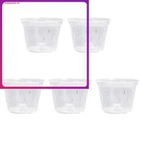 ราคา 5หีบห่อ กระถาง กระถางกล้วยไม้ใสพลาสติกขนาด 5 นิ้วพร้อมรูดอกไม้พลาสติก (43925106632)