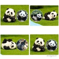 ราคา ღ ตุ๊กตาสัตว์แพนด้าจิ๋วน่ารัก โมเดลสัตว์ มอสไมโครแลนด์ส ของตกแต่งบ้าน สวนนางฟ้าจิ๋ว อุปกรณ์ตกแต่ง (44409626749)