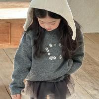 ราคา เสื้อกันหนาวเด็ก แขนยาว สไตล์เกาหลี สำหรับฤดูใบไม้ร่วง (43561194217)