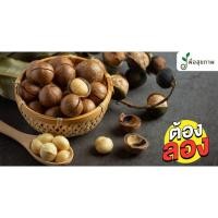 ราคา 1 แถม 2 แมคคาเดเมียอบเนย หอม ทานเพลิน เม็ดใหญ่เม็ดเต็ม ฟรีที่แกะ ถุงละ100 กรัม 3 ถุง (28651323218)