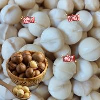 ราคา แมคคาเดเมีย ราชาแห่งถั่ว อบใหม่ หอมกรอบ หวานมัน หอมกลิ่นเนย (27203205942)