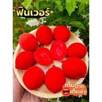ราคา ท้อแดง ลูกพีชแช่อิ่ม ขนาด1 กิโล กรอบ หวานอมเปรี้ยว ของกินเล่น แถมพริกเกลือรสเด็ด ขนาด500gต้องสั่ง2ชุดแถมพริกเกลือ (26551067761)