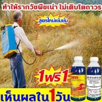 ราคา ซื้อ 1 แถม 1 ยาฆ่าหญ้า 20 ความเข้มข้นสูง สารกำจัดวัชพืช ใช้เพียงเล็กน้อย ไดัผล 500 ยาฆ่าหญ้ากลูโฟซิเนต ยากำจัดวัชชพืช (41513789049)