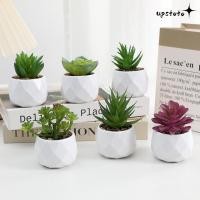 ราคา UPSTOTO บอนไซฉ่ํา พืชปลอมกระบองเพชรฉ่ําเทียม มินิเอเวอร์กรีนพลาสติกพืชบอนไซบ้าน (54500984031)