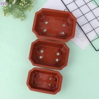 ราคา KFL 1 PC กระถางบอนไซ Vintage พลาสติก s ปลูกหม้อสี่เหลี่ยมคลาสสิกบอนไซหม้อกระบองเพชรกระถางดอกไม้หม้อสวนขายร้อน (54900646499)