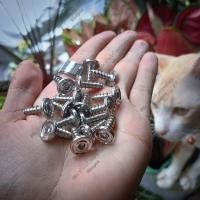 ราคา น๊อตเกลียวปล่อย YAMAHA M5x15 สแตนเลส กลึงมือ ตัวละ (19149719425)