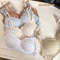 ราคา บราดันทรง ดันทรง ปีกนกดันทรง ชุดชั้นในสตรีสไตล์ญี่ปุ่น สำหรับคนหน้าอกใหญ่ ยกทรงและปรับแต่งหน้าอกได้อย่างสวยงาม (43475761473)