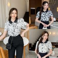 ราคา S 4XL เสื้อคอบัวลูกไม้แขนสั้นผ้านิ่มสีขาวดำ V2 (29387071038)