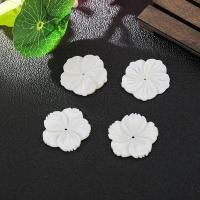 ราคา กิ๊บผมประดับเปลือกหอยธรรมชาติ ขนาด 28 28 มิลลิเมตร เสริมความสวยงามให้กับเสื้อผ้าและเครื่องประดับ (27040634271)