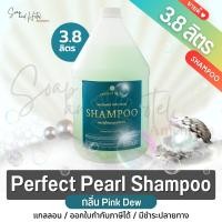 ราคา แชมพูแกลลอน เพอร์เฟค เพิร์ล 3 8 ลิตร Perfect Pearl Shampoo สำหรับโรงแรม รีสอร์ท สปา และห้องพักในอพาร์ทเม้น (9960233075)