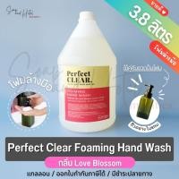ราคา โฟมล้างมือ เพอร์เฟคเคลียร์ แกลลอน Foaming Hand Wash กลิ่น Love Blossom ขนาด 3 8 ลิตร ไม่แถมขวดปั้มนะครับ (24059375445)