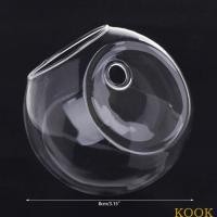 ราคา Kook แจกันแก้ว แบบแขวนผนัง ไฮโดรโปนิก สวนขวด ตู้ปลา กระถางต้นไม้ กระถางดอกไม้ (24003283244)