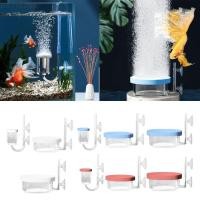 ราคา Baysli Aquarium Air Stone ถ้วยดูด Diffuser Air Stone Fish Tank Bubblers Pump (29125237534)