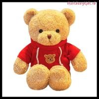 ราคา ตุ๊กตาหมีเท็ดดี้น่ารัก ขนาด 30 ซม 40 ซม 50 ซม ของขวัญวันเกิดคริสต์มาส (53251483424)