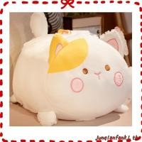 ราคา แมวอ้วนหมอนใหญ่แมวดำของเล่นตุ๊กตากลมแมวอ้วนตุ๊กตาโซฟาข้างเตียงตุ๊กตาหมอนขายส่ง (48350982110)