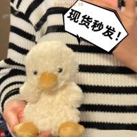 ราคา AIXINI ตุ๊กตาเป็ด เป็ดน้อยสีเหลืองน่ารัก ของเล่นตุ๊กตา ของขวัญสำหรับเด็ก ของขวัญวันเกิด ของเล่นผ่อนคลาย (29709943797)