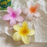 ราคา คลิปผมดอกลีลาวดีหวาน 6 ชิ้น ขนาดใหญ่ 3 15 นิ้ว ไม่ลื่นไถล สีสันสดใส เหมาะสำหรับทรงผมงานปาร์ตี้และสไตล์วันหยุด ของขวัญที่เหมาะสำหรับสาวๆ ตกแต่งผมวันหยุด (28733751777)