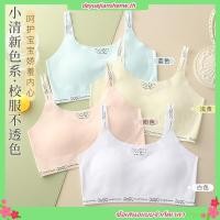 ราคา เสื้อชั้นในเด็กผู้หญิง นุ่มสบายระบายอากาศได้ดี เสื้อกล้ามเด็กผู้หญิง เหมาะสำหรับ 8 10 11 13 15 18 ปี เสื้อซับใน เด็ก หญิง มีสี ขาว เหลือง ฟ้า ชมพู ชุดชั้นในเด็ก เหมาะสำหรับกีฬา นัก (28830013802)