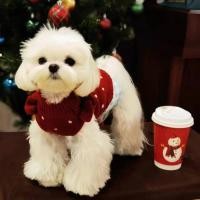 ราคา Christmas Pet Autumn and Winter Clothes Cat Dog Clothes Red New Style Sweater Pet Autumn Winter Clothes YtnI (53601597318)