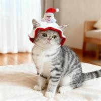 ราคา Pet Travel Cap Christmas Wool Hat Felt Ball Elk Red Bell Dog Cat Head Cover Shooting Props QCQt (48852074839)