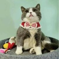 ราคา Cat and Dog Knitted Wool Saliva Towel Pet Scarf Scarf British Shorthair Blue and White Teddy Bichon Bow Tie Dog Ornament JoVL (48152403080)