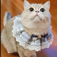 ราคา Pet Bib Cat Neck Cat Collar Dog Saliva Towel Small Dog Teddy Muppet Bow Dog Cat Ornament 4pXY (40375283189)