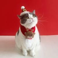 ราคา Pet Dog Christmas Puppy Set Cat Scarf Collar Scarf Decoration Bib Cat Accessories Wool Cute dQOa (47002028323)