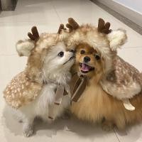 ราคา Christmas Pet Dog Clothing Elk Cloak Dog Cat Clothes Cat Pet Costume Hat Decoration and Accessory 0shm (58001012370)