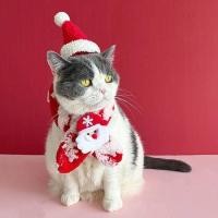 ราคา Pet Christmas Scarf Cat Elderly Scarf Plush Warm Dog Suit Atmosphere Accessories Scarf Christmas Hat OD2J (50952013111)