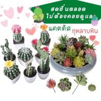 ราคา กระบองเพชรปลอม กุหลาบหินปลอม ไม่ต้องรดน้ำ ออกดอกตลอดปี แคตตัสปลอม ต้นไม้ปลอม ใบไม้ปลอม ดอกไม้ตกแต่ง พร๊อพถ่ายภาพ (18435319084)
