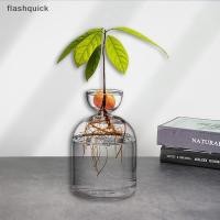 ราคา ชุดเพาะเมล็ดอะโวคาโดและแก้วสำหรับการเพาะเลี้ยง พืชขนาดเล็ก เหมาะสำหรับคนรักรดน้ำต้นไม้ (57100819167)