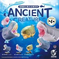 ราคา GRTOYS Animal Planet 4 0 Dunkleosteus Leviathan whale Megalodon Figure (41472233930)
