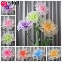 ราคา วิทติ ดอกกุหลาบประดิษฐ์ดอก 40ซม ขนาดใหญ่หัวดอกไม้จําลองกุหลาบ ภูมิทัศน์งานแต่งงานปุยกลีบชั้นแสดงดอกไม้ปลอมกลางแจ (57952081940)