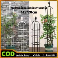 ราคา COD ทนทาน โครงกุหลาบ กันสนิม ซุ้มกุหลาบ โครงกุหลาบเลื้อย ซุ้มไม้เลื้อย 145cm 28cm (43456783670)