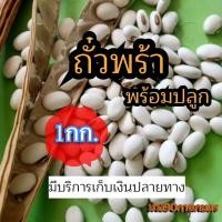 ราคา ถั่วพร้า เมล็ดถั่วพร้า 1 กิโลกรัม รับประกันการงอก (17708131982)