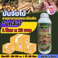 ราคา มันจัมโบ้ ขนาด 1 ลิตร ยกลัง12ขวด เร่งลงหัว หัวดก หัวใหญ่ แป้งดี (40760733185)