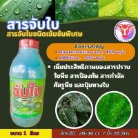 ราคา ยาจับใบ สารจับใบ ติดทน ขนาด 1 ลิตร จับดี สารจับใบ ยาจับใบ จับใบ แอ็ปซ่า แอปซ่า จับใบ (27204562302)