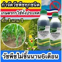 ราคา ซื้อ 1 แถม 1 ยากำจัดวัชพืช ยากำจัดหญ้า แบรนด์ HMสูตรเข้มข้น ฆ่าหญ้าร้ายตายเรียบ รากเน่าสนิท ยาฆ่าตอไม้ 100ml (47652220763)