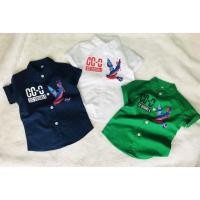 ราคา เสื้อเชิ้ตแขนสั้นเด็ก สกรีน CC OO นก (2152422872)