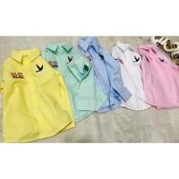 ราคา เชิ้ตแขนยาวเด็ก คอปก ปัก CC OO (2152377277)