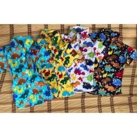 ราคา เชิ้ตแขนสั้นเด็กชาย คอปก ลายไดโนเสาร์ (2152395692)