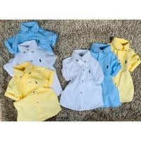 ราคา ไซส์ XL เสื้อเชิ้ตเด็กแขนสั้น คอปกคอจีน (13797340418)