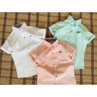 ราคา ไซส์ 3XL เชิ้ตแขนสั้น เด็กโต รอบอก 34 35 นิ้ว (10588916108)